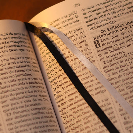 Bíblia Sagrada João Ferreira de Almeida | JFA 1819 | Standard | Letra Grande | Capa Luxo Cinza