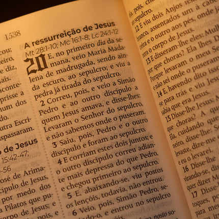 Bíblia Sagrada João Ferreira de Almeida | JFA 1819 | Standard | Letra Grande | Capa Luxo Preta