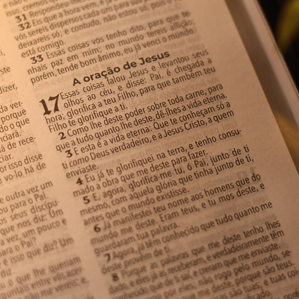 Bíblia Sagrada João Ferreira de Almeida | JFA 1819 | Ultrafina | Letra Normal | Capa Luxo Preta