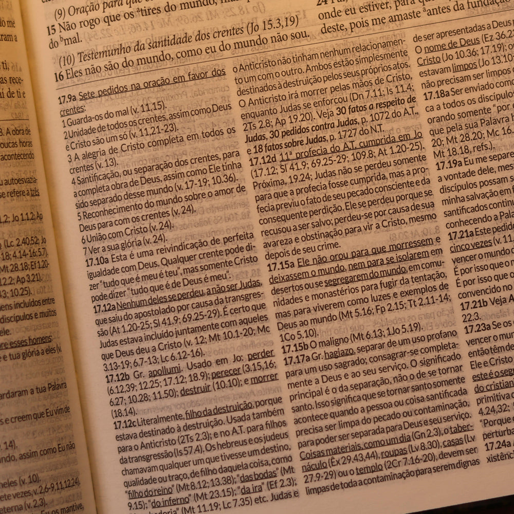 Bíblia de Estudo Dake| Letra grande | Capa Dura Montanhas