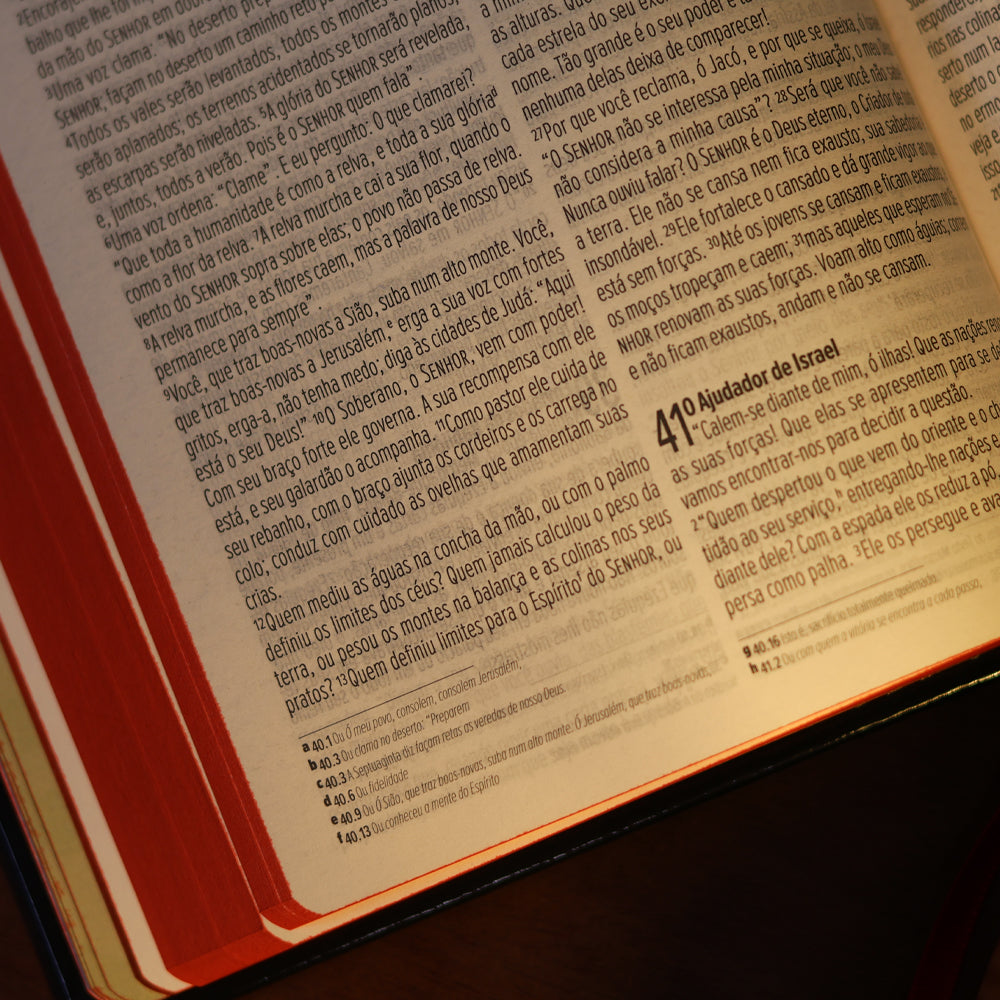 Bíblia JesusCopy Lettering | NAA | Capa Dura
