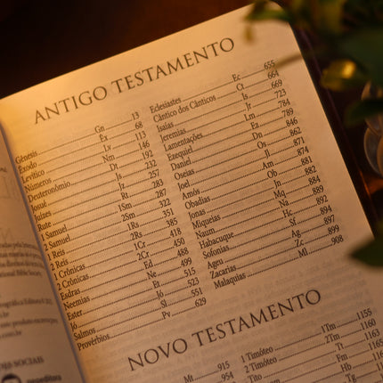 Bíblia Jesus Copy | NVI | Letra Grande | Capa Luxo Marrom