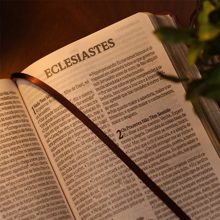 Bíblia Jesus Copy | NVI | Letra Grande | Capa Luxo Marrom