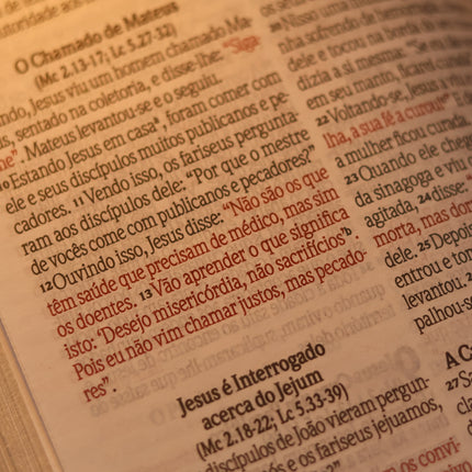 Bíblia Jesus Copy | NVI | Letra Grande | Capa Luxo Marrom