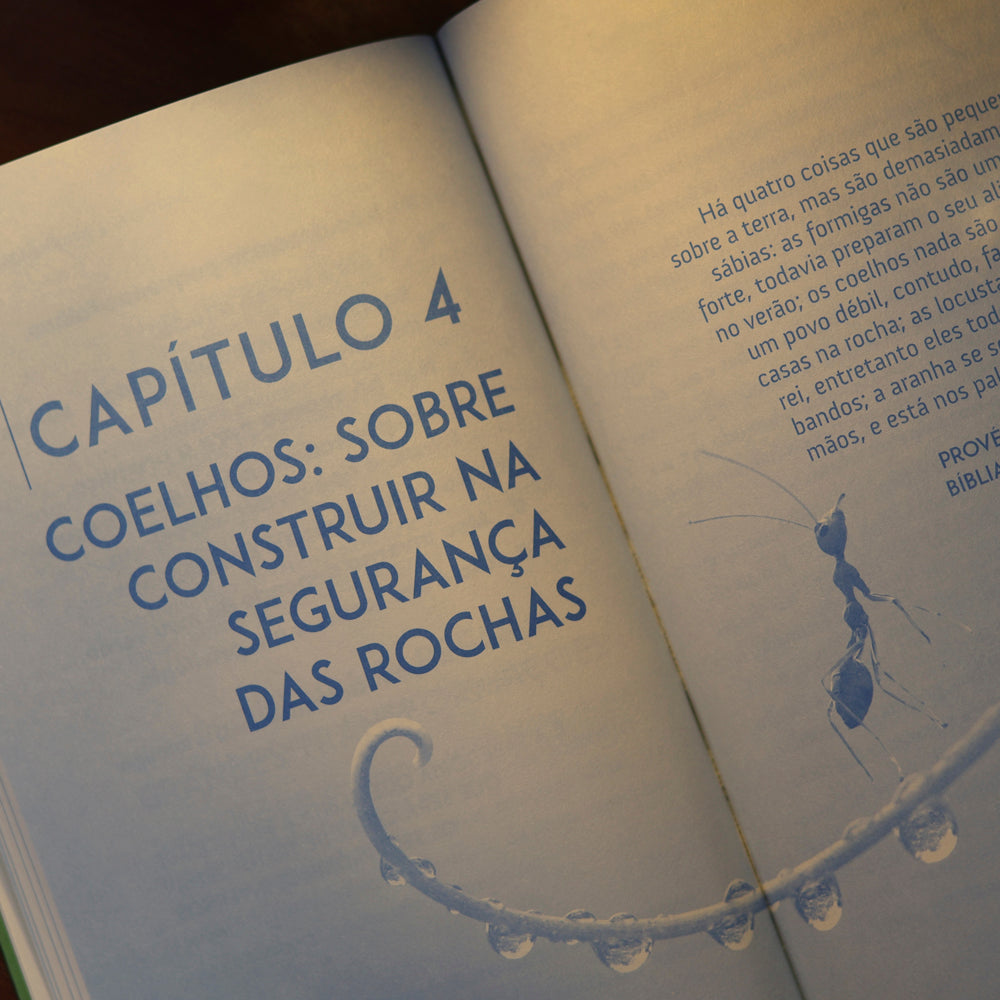 Pequenos Mestres, Grandes Lições | Alan Brizotti