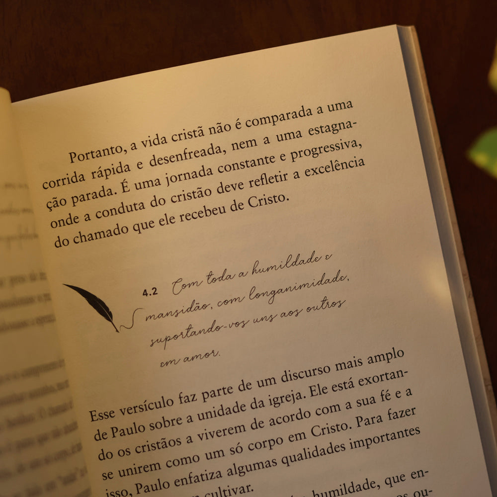 Cartas aos Efésios | Comentários Expositivos |  Benhour Lopes