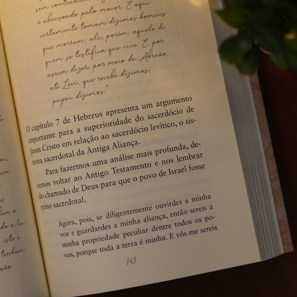 Carta aos Hebreus | Comentários Expositivos | Benhour Lopes