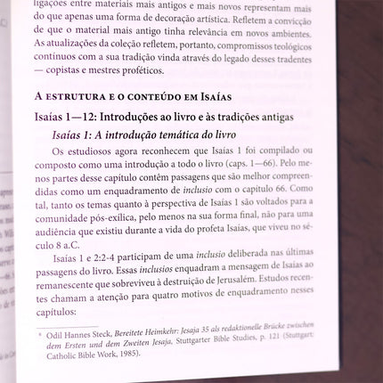 Introdução Aos Profetas Hebreus | James Nogalski