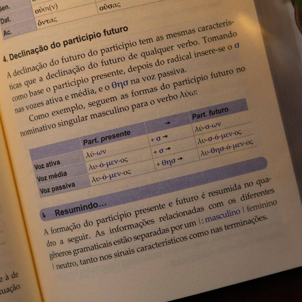 Introdução ao Grego Bíblico | Johannes Bergmann