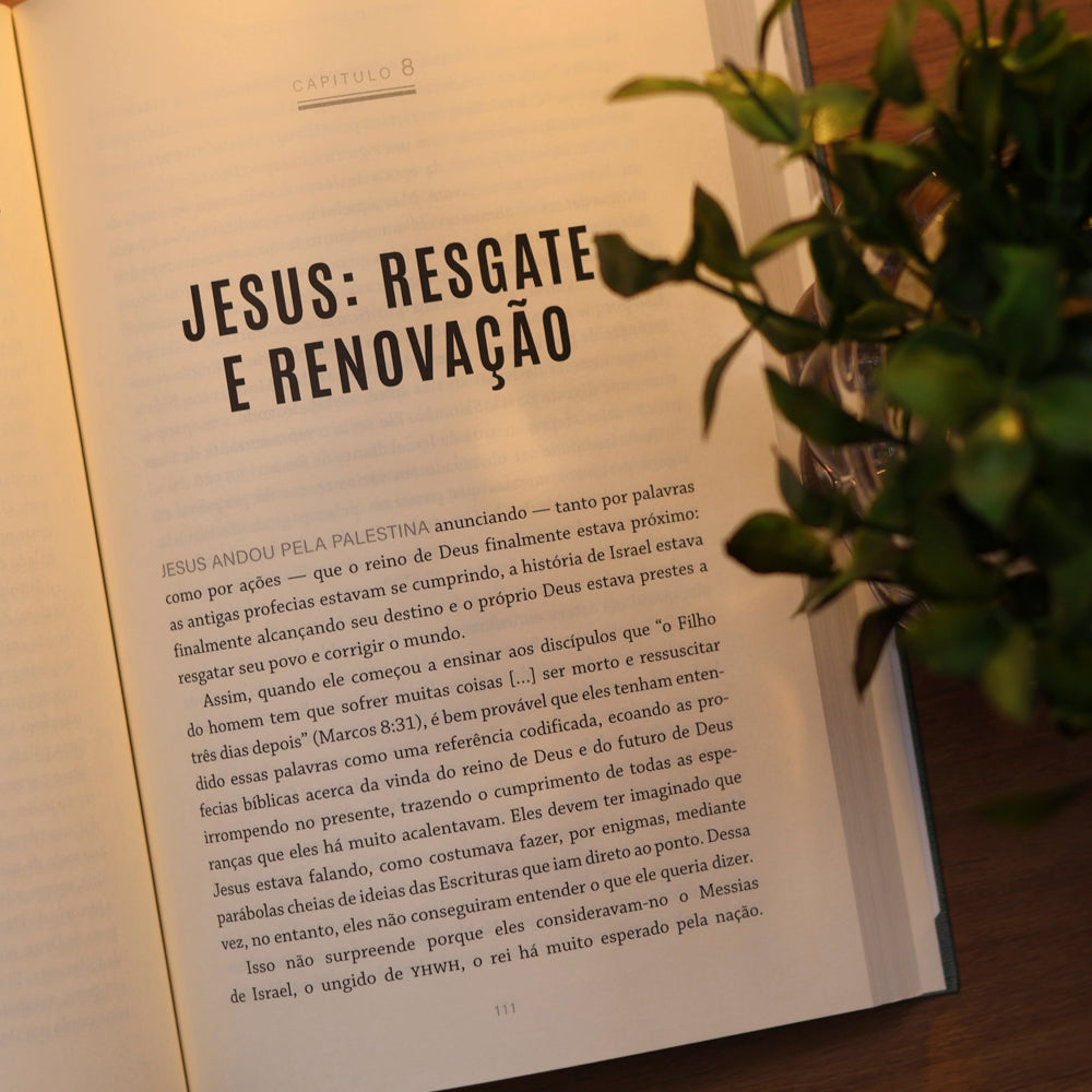 Simplesmente Cristão | N.T. Wright