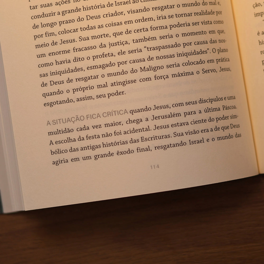 Simplesmente Cristão | N.T. Wright