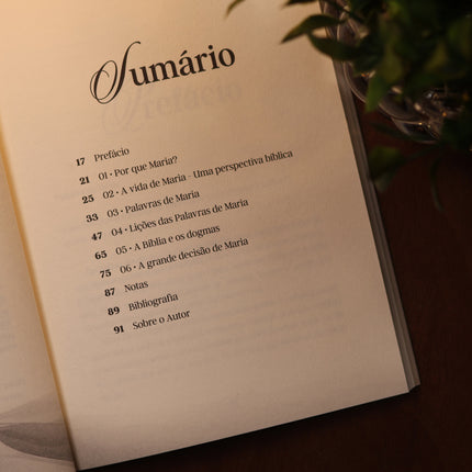 As Palavras de Maria | Carlito Paes