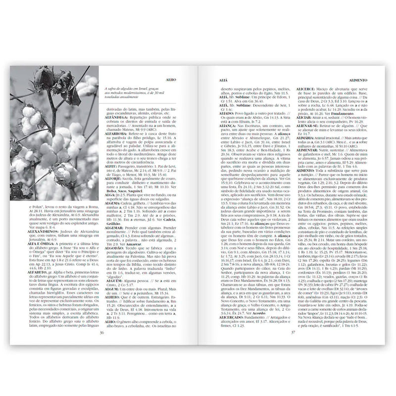 Pequena Enciclopédia Bíblica | Capa Dura | Orlando Boyer