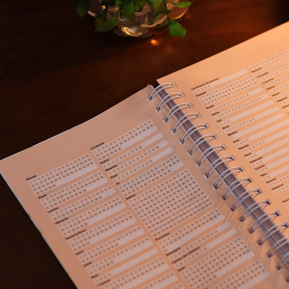 Planner Devocional Temperamentos | Laços