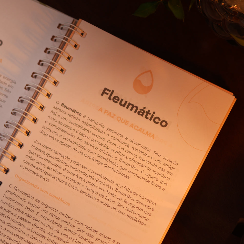 Planner Devocional Temperamentos | Laços