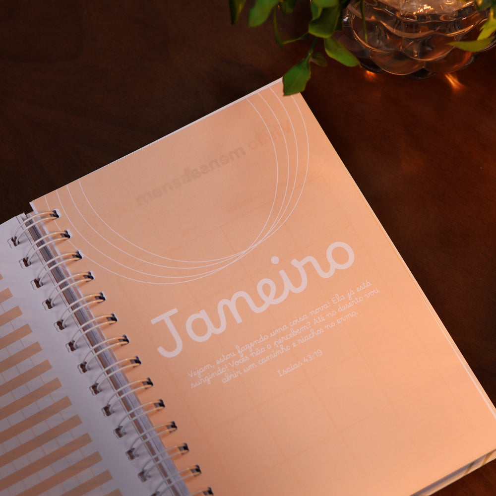 Planner Devocional Temperamentos | Laços