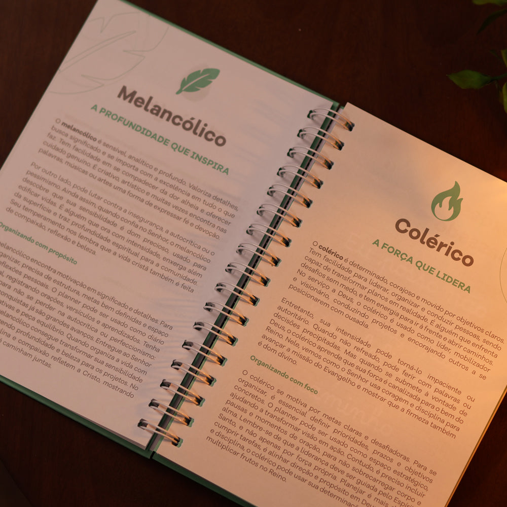 Planner Devocional Temperamentos | Tiffany