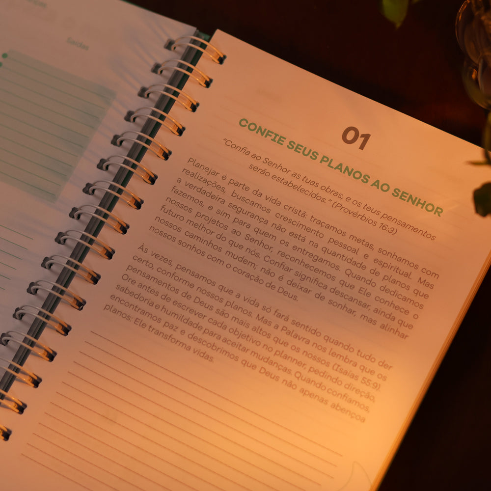 Planner Devocional Temperamentos | Tiffany