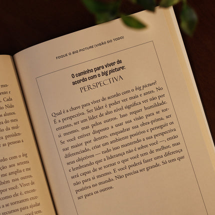 Liderança de Alto Nível | John C. Maxwell