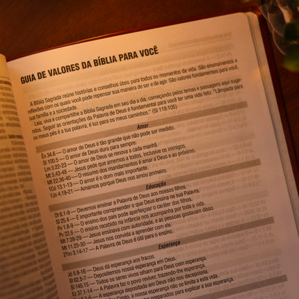 Bíblia Sagrada Virtuosa | NAA | Letra Grande | Capa Luxo Marrom