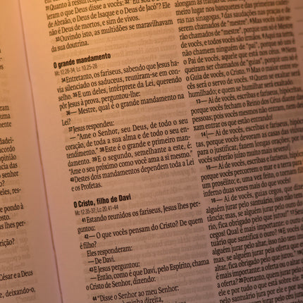 Bíblia Sagrada Virtuosa | NAA | Letra Grande | Capa Luxo Marrom