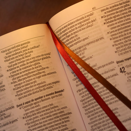 Bíblia Sagrada Virtuosa | NAA | Letra Grande | Capa Luxo Marrom