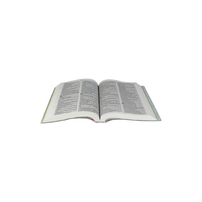 Bíblia Sagrada Mig e Meg | Letra Normal | NTLH | Capa Ilustrada Azul