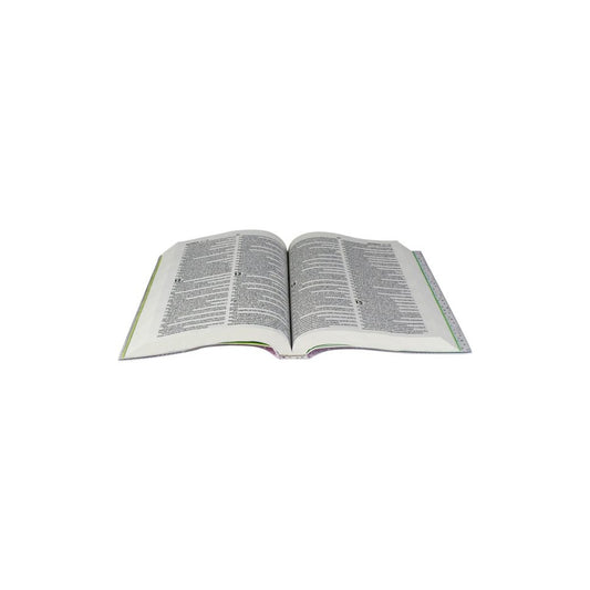 Bíblia Sagrada Mig e Meg | Letra Normal | NTLH | Capa Ilustrada Azul