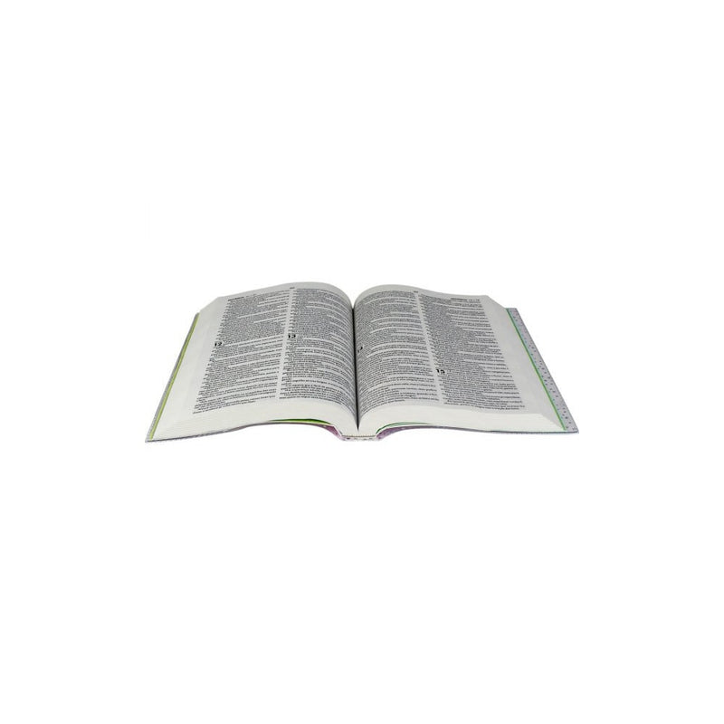 Bíblia Sagrada Mig e Meg | Letra Normal | NTLH | Capa Ilustrada Azul