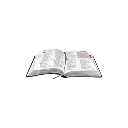 Bíblia de Estudo Plenitude para Jovens | Letra Normal | NTLH | Capa Couro Cinza Escuro