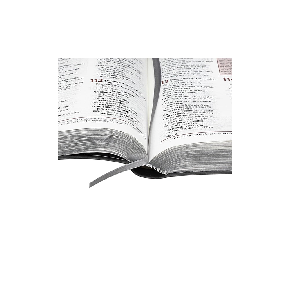 Bíblia de Estudo Plenitude para Jovens | Letra Normal | NTLH | Capa Couro Cinza Escuro