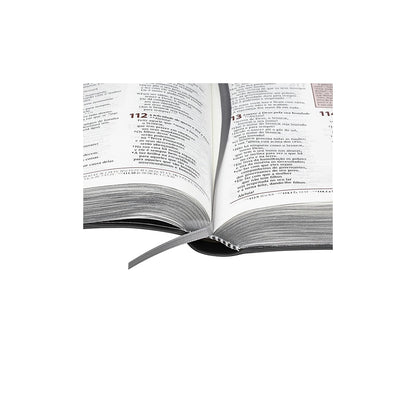 Bíblia de Estudo Plenitude para Jovens | Letra Normal | NTLH | Capa Couro Cinza Escuro