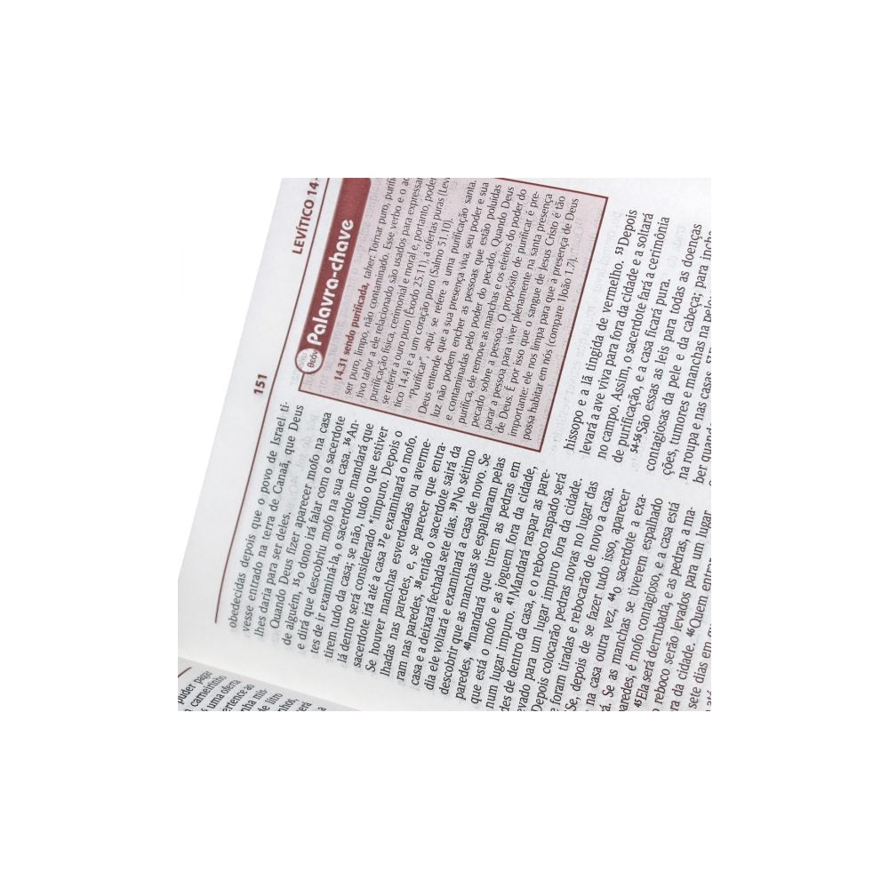 Bíblia de Estudo Plenitude para Jovens | Letra Normal | NTLH | Capa Couro Cinza Escuro