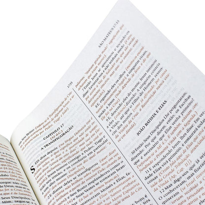 Bíblia de Estudo do Expositor | Letra Normal | NTVE | Capa Couro Vinho