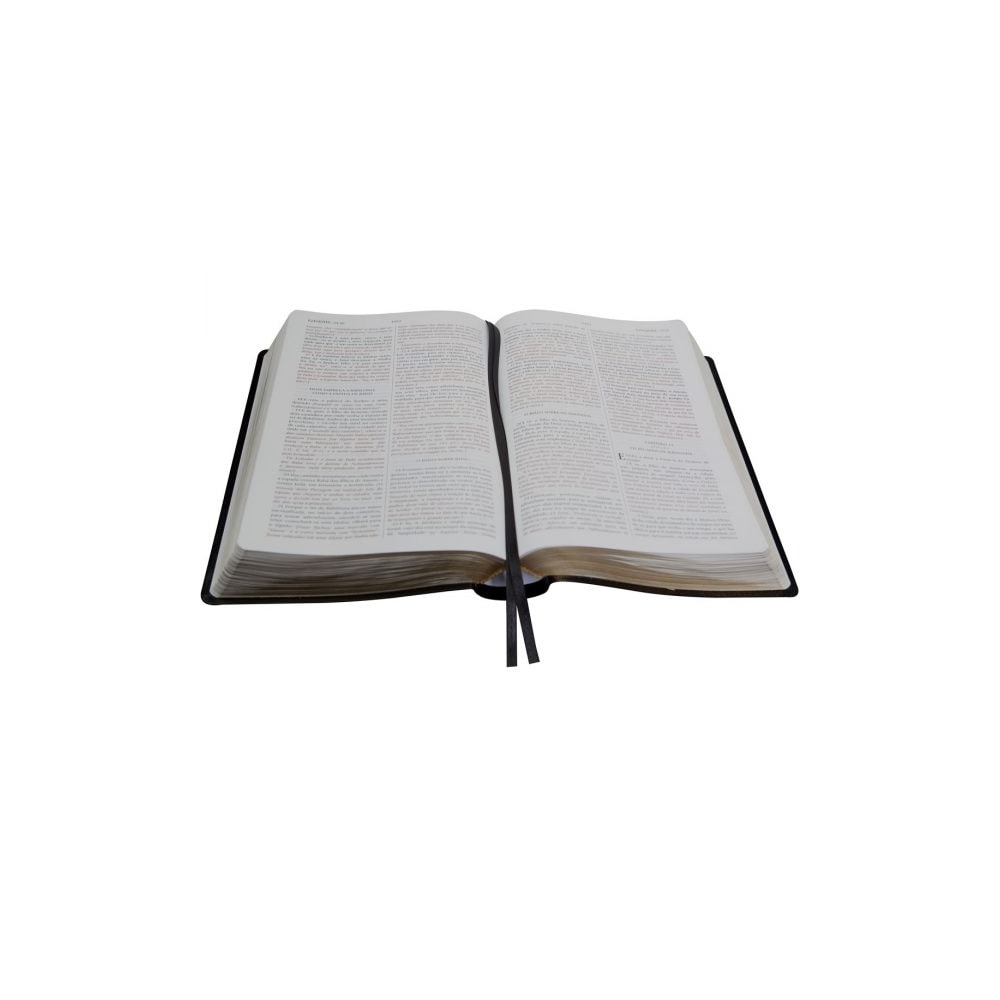 Bíblia De Estudo do Expositor | Letra Normal | NVTE | Capa Preta