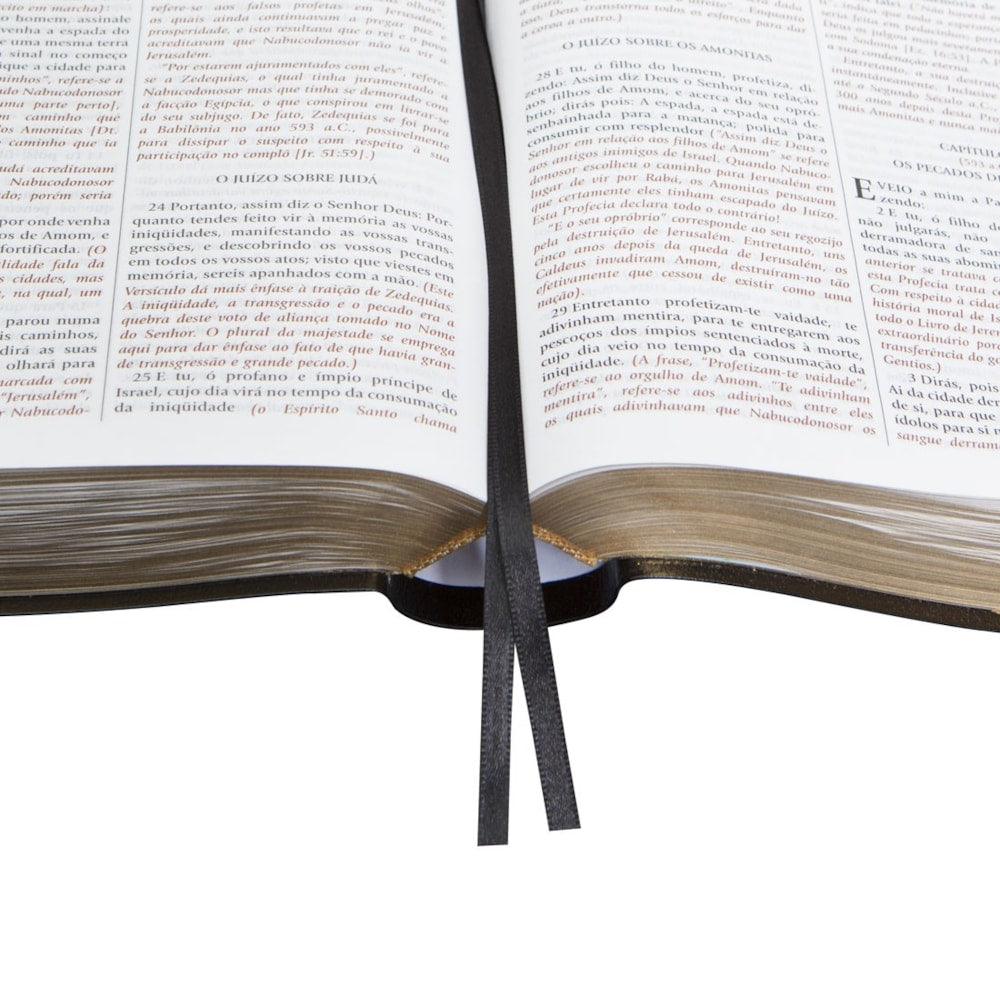 Bíblia De Estudo do Expositor | Letra Normal | NVTE | Capa Preta