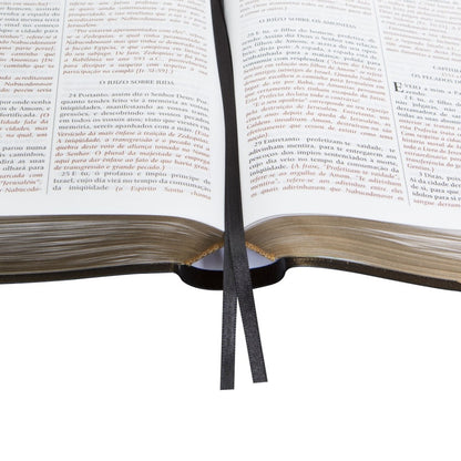 Bíblia De Estudo do Expositor | Letra Normal | NVTE | Capa Preta