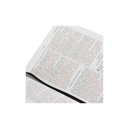Bíblia De Estudo do Expositor | Letra Normal | NVTE | Capa Preta