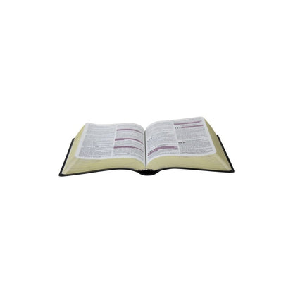 Bíblia com Harpa Cristã | Letra Maior | ARC | Couro Preta