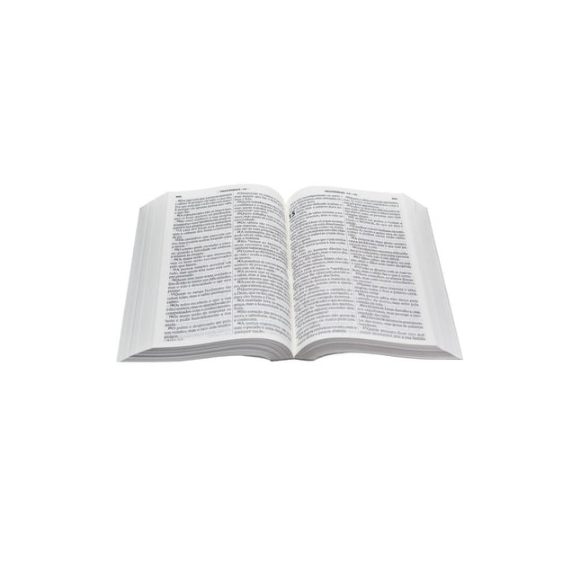Bíblia Sagrada | Letra Grande | NTLH | Capa Ilustrada Popular