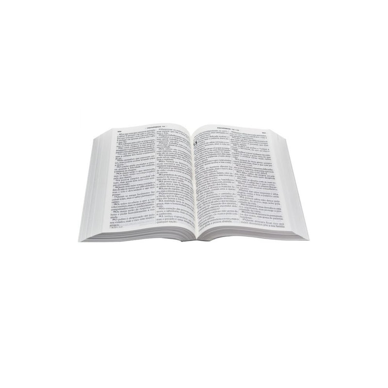 Bíblia Sagrada | Letra Grande | NTLH | Capa Ilustrada Popular