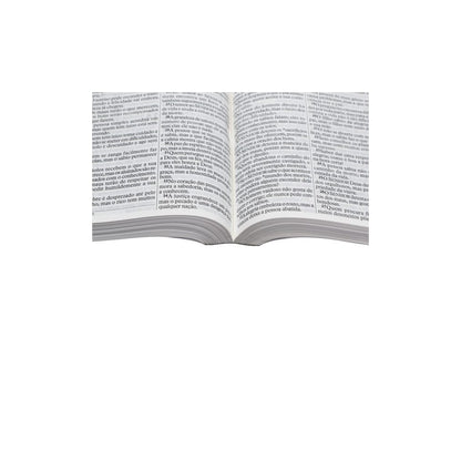 Bíblia Sagrada | Letra Grande | NTLH | Capa Ilustrada Popular