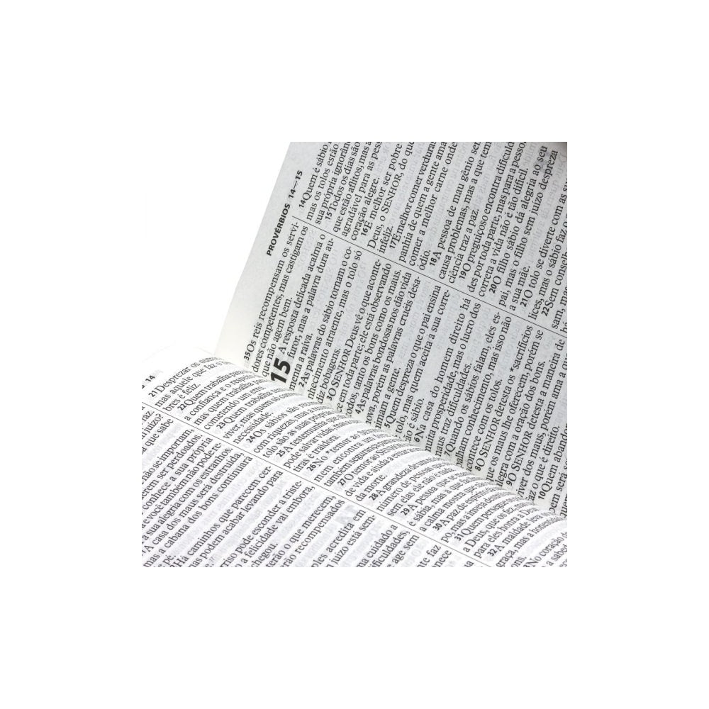 Bíblia Sagrada | Letra Grande | NTLH | Capa Ilustrada Popular