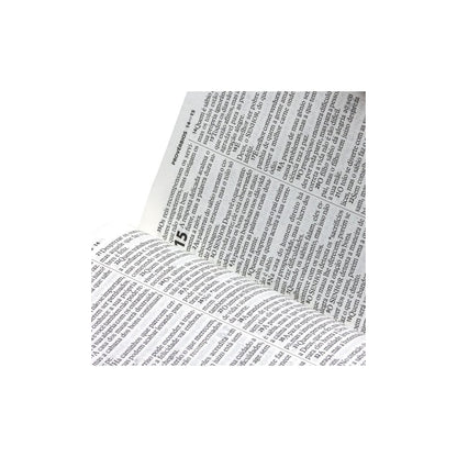 Bíblia Sagrada | Letra Grande | NTLH | Capa Ilustrada Popular