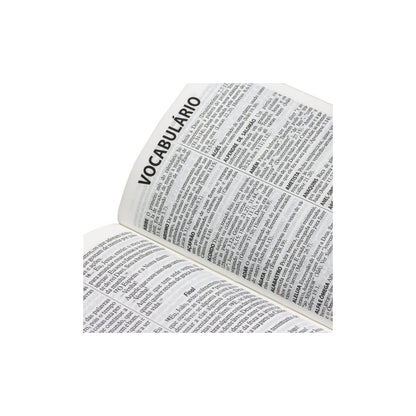 Bíblia Sagrada | Letra Grande | NTLH | Capa Ilustrada Popular