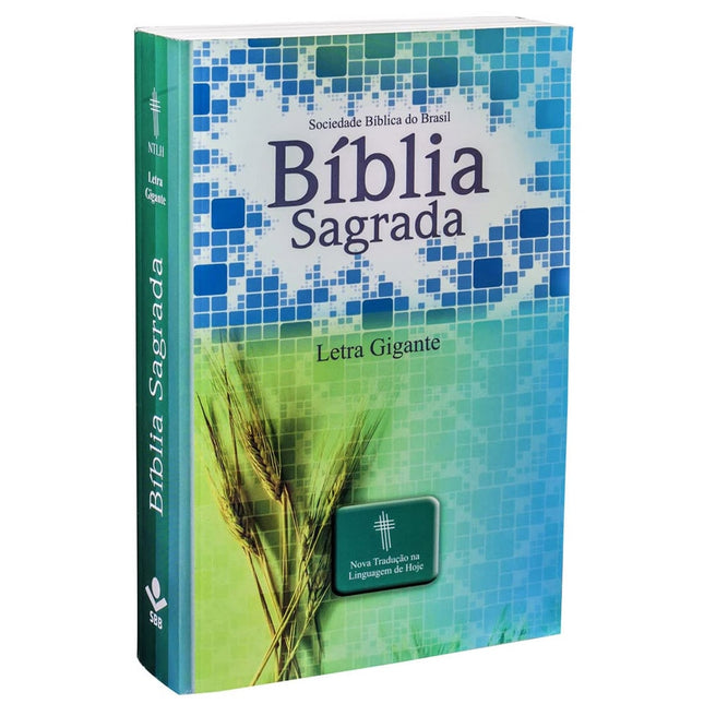 Bíblia Sagrada | Letra Grande | NTLH | Capa Ilustrada Popular