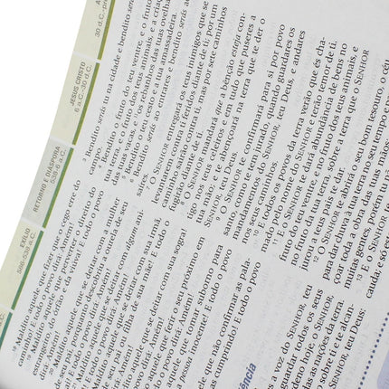 Bíblia de Estudo em Ordem Cronológica Aplicação Pessoal | ARC | Letra Normal | Capa Marrom/Verde Lux