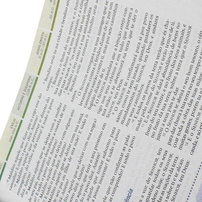 Bíblia de Estudo em Ordem Cronológica Aplicação Pessoal | ARC | Letra Normal | Capa Marrom/Verde Luxo