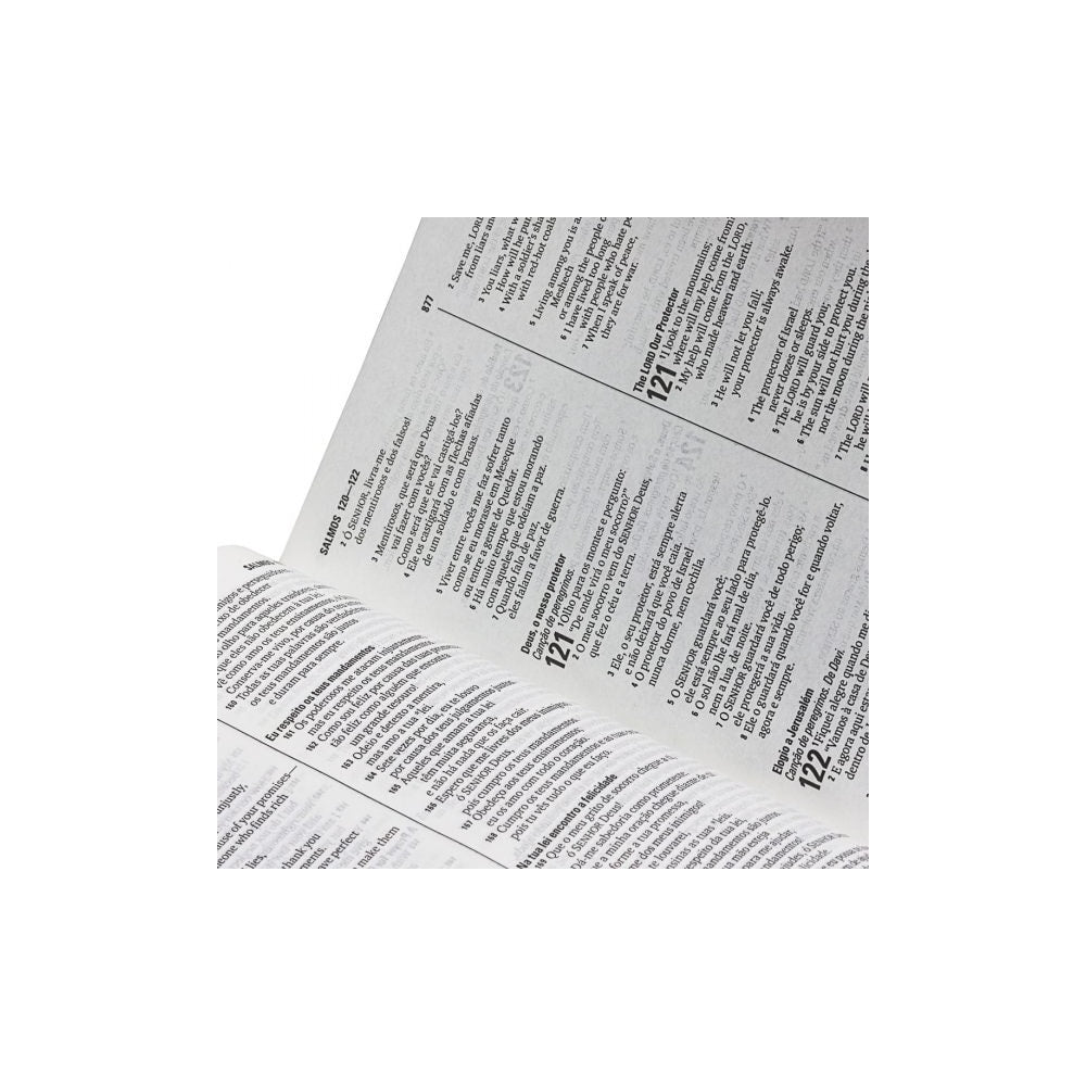 Bíblia Bilíngue Português/Inglês | Letra Normal | NTLH | Capa Ilustrada Popular