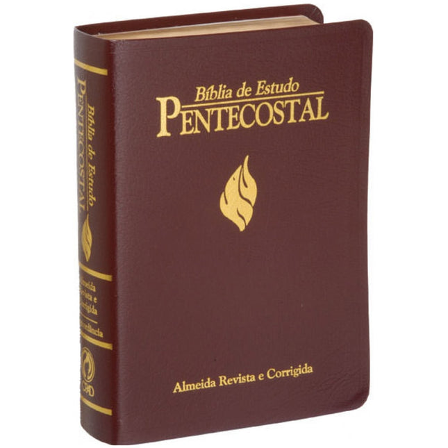 Bíblia de Estudo Pentecostal Grande | Letra Grande | ARC | Luxo Vinho